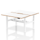 Rayleigh Air 2 Person Back-to-Back Height Adjustable Bench Desk